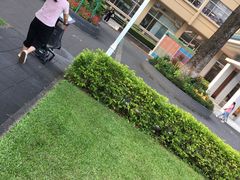 -广东省立中山图书馆
