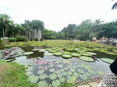 -中国科学院西双版纳热带植物园