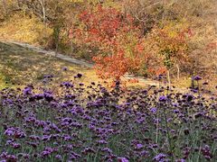 -云峰山自然风景区
