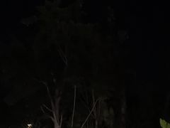 -西双版纳融创皇冠假日度假酒店