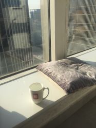 -净漪造型 PURE RIPPLE