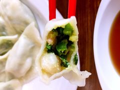 -东方饺子王(新阳路店)