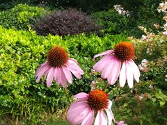 -上海国际旅行卫生保健中心(浦东分中心)