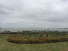 -江滩湿地公园