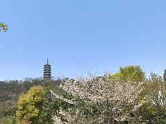 -焦山风景区
