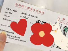 -招商蛇口邮轮母港(观光客运)