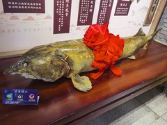-胖姐渔村(中源大道店)