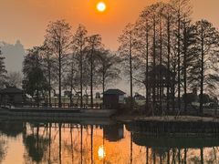 -东湖落雁景区