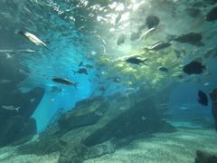 -福州罗源湾海洋世界旅游区