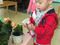 -北京市海淀区锦绣明天莲宝幼儿园