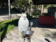 -石家庄市动物园