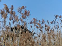 -阳澄湖半岛旅游度假区