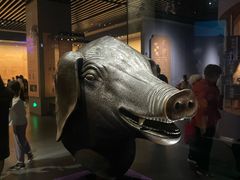 -广西壮族自治区博物馆