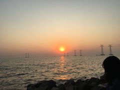 -宝安西湾红树林湿地公园