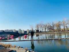 -廊坊文化艺术中心