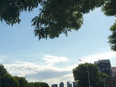 -童程童美少儿编程乐高机器人(世纪都会校区)