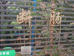 -广州神农草堂中医药博物馆