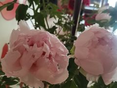 -洛阳宴·洛阳菜(南昌路店)