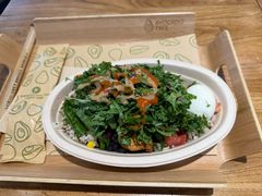 -油梨树 AVOCADO TREE(亮马桥店)