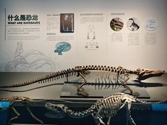 -自贡恐龙博物馆