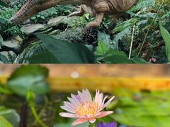 -上海辰山植物园