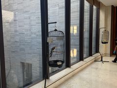 -上海崇明金茂凯悦酒店