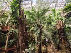 -呀路古热带植物园