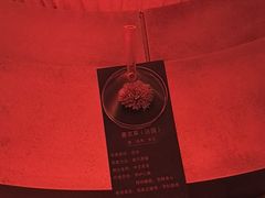 -舒小悦·舒养SPA·古法推拿(光环中心店)