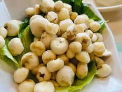 -百年果林椰子鸡(中洲店)