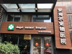 -爱侣·安琦尔宠物医院·中兽医针灸·心内科·狂犬免疫点(宝山区院)