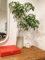 -净漪造型 PURE RIPPLE