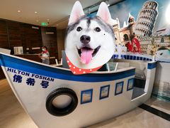 -OPEN開全日自助餐厅·西餐·海鲜(佛山希尔顿酒店)