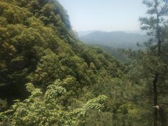 -王顺山国家森林公园