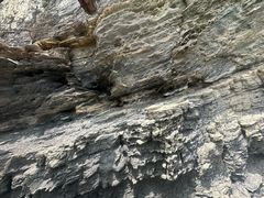 -大连金石滩滨海国家地质公园