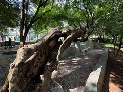 -抚仙湖禄充风景区