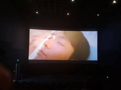 -SFC上影百联影城(川沙IMAX店)