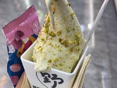 -野人先生现做冰淇淋(西安赛格店)