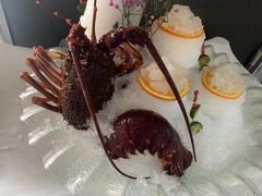 -梧桐餐厅(泉城路店)