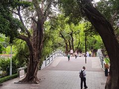 -荔湾湖公园