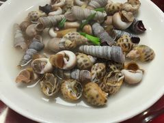 -红灯笼龙凤饭店(宁波老字号店)