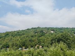 -白水寺森林公园