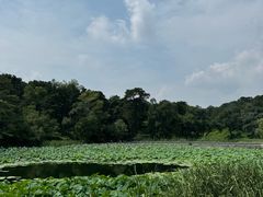-承德避暑山庄景区