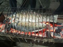 android_upload_pic-山水烤鱼(前进路店)