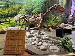 -陕西自然博物馆