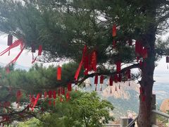 -崂山仰口游览区