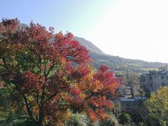 -塔川景区