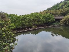 -九龙潭景区