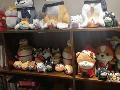 零售区-逗柴咖啡屋·狗咖猫咖宠物桌游