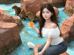 -灵玲国际马戏城