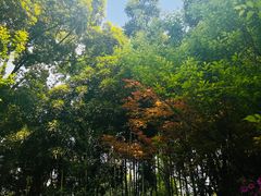 -成都杜甫草堂博物馆